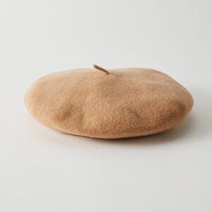 NWOT Aritzia wool beret